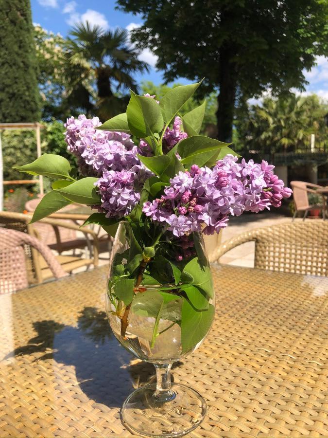Maison Du Midi Bed and Breakfast Lorgues Εξωτερικό φωτογραφία